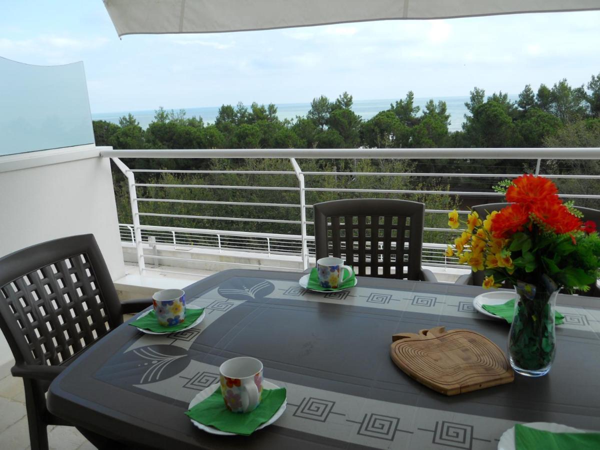 Cerrano Park Resort Pineto Pokoj fotografie